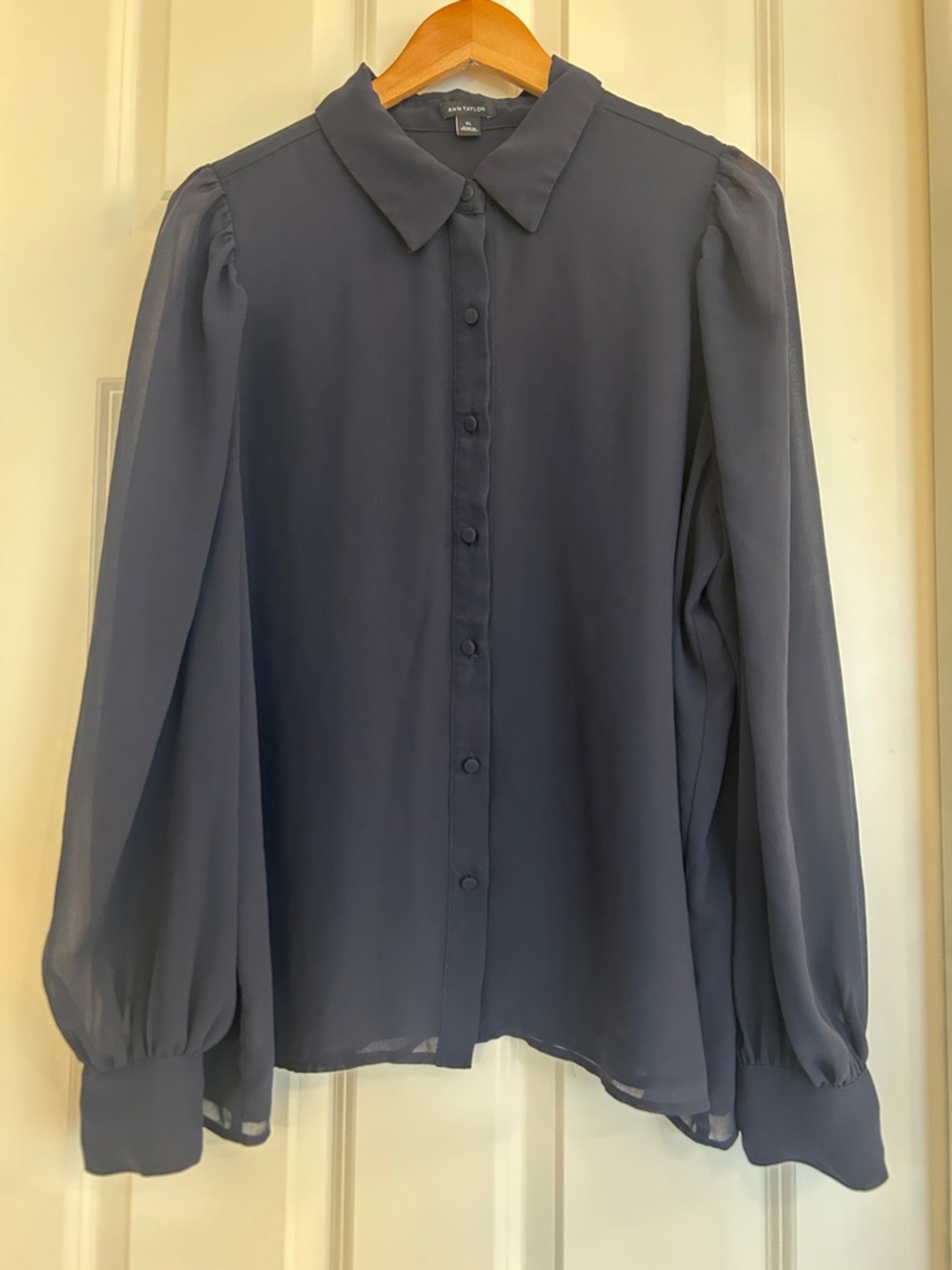 Ann Taylor Navy Blue Sheer Chiffon Button Front Blouse Lined Size XL